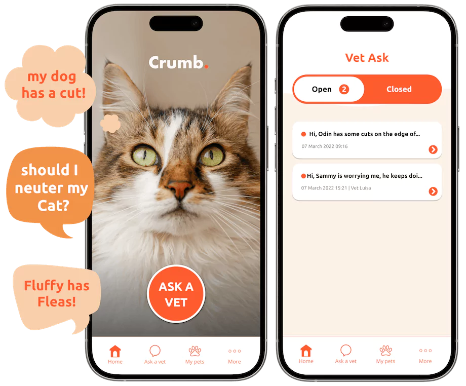 crumb vet app